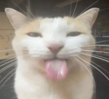 Work in progress image